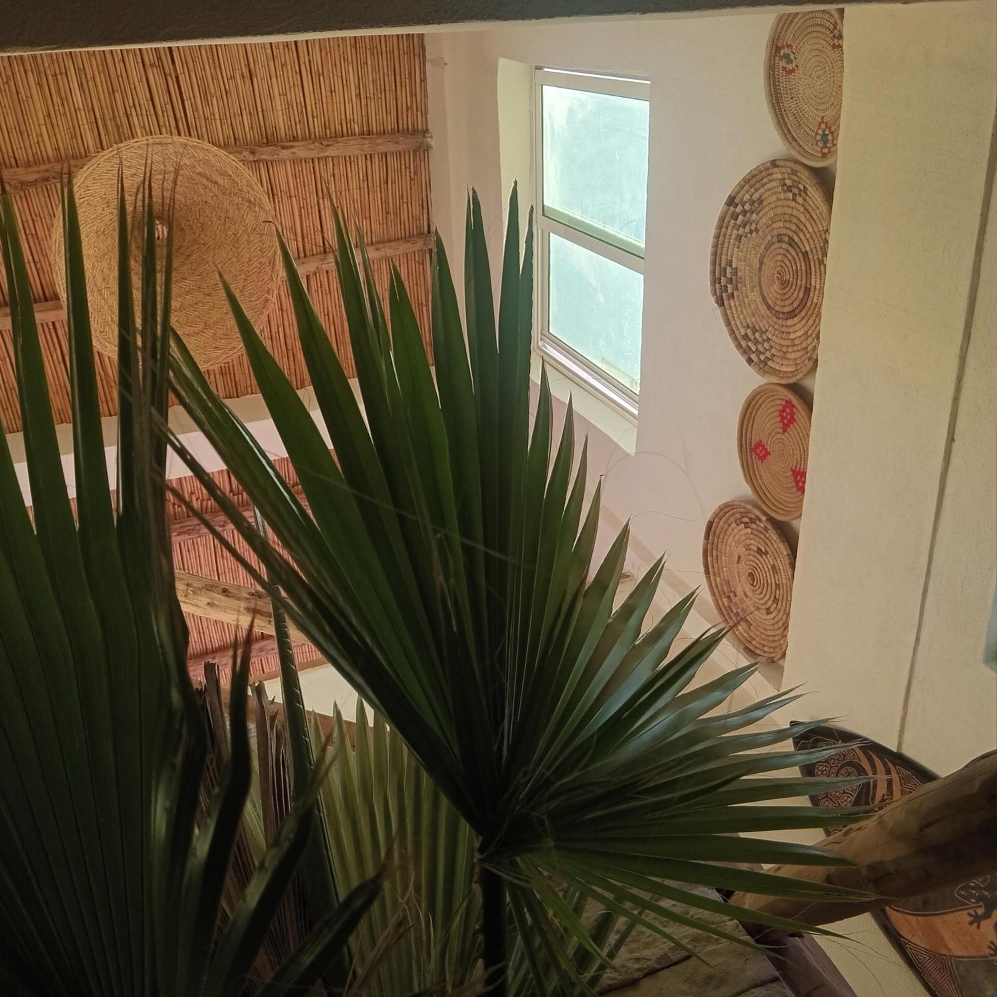 Moroccan Boho Surf House Agadir Zewnętrze zdjęcie