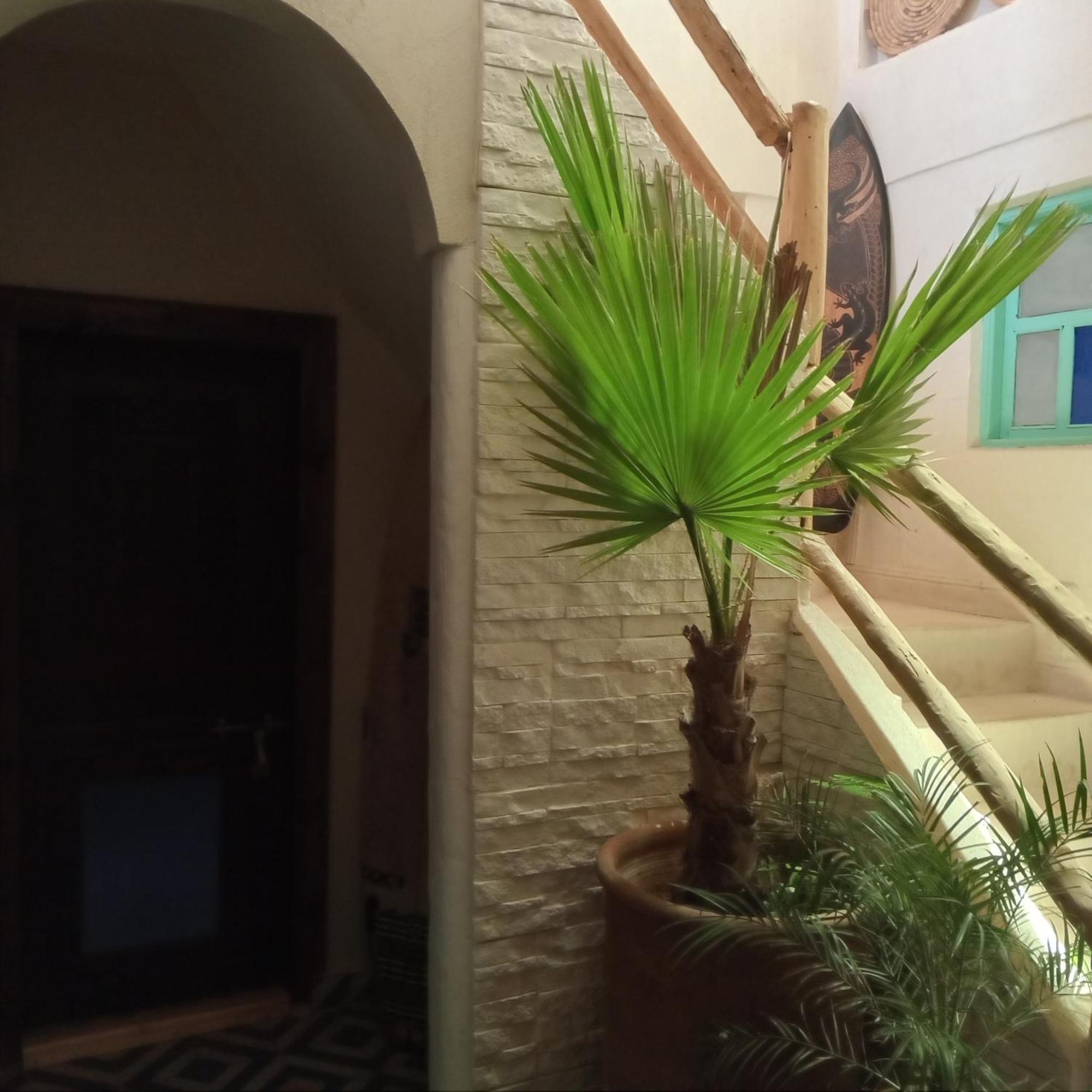 Moroccan Boho Surf House Agadir Zewnętrze zdjęcie